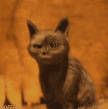 43亿！2.8万个学位！2019厦门教育规划曝光！六区将全面开挂！——九房网