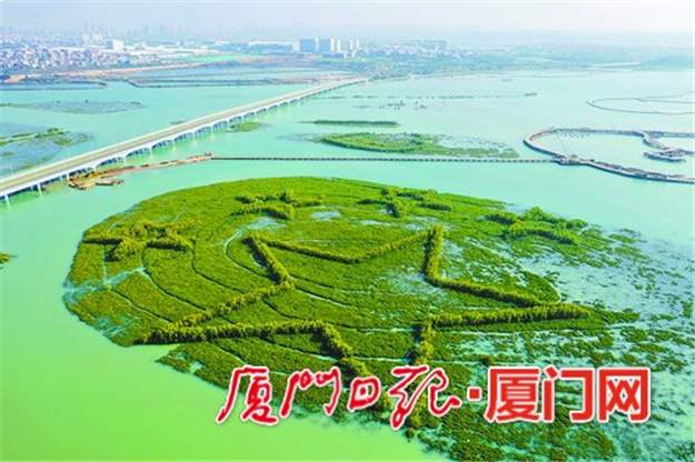  2019年 环东海域计划建设项目311个，计划固投535亿元——九房网