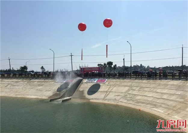 厦门房产,厦门房地产,厦门新房,九房网,厦门房产