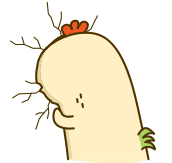 官方数据告诉你：厦门究竟有多少人？哪个区最多人！——九房网