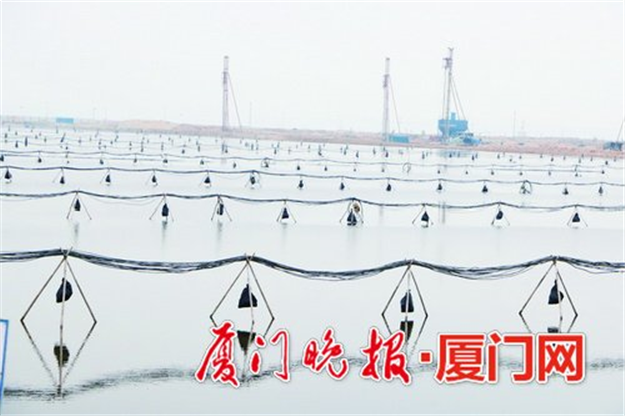 吹淤造地连续抽水140天 让软基变“硬”——九房网