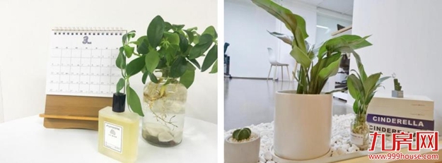 绿色办公体验——厦门上班族的春天——九房网