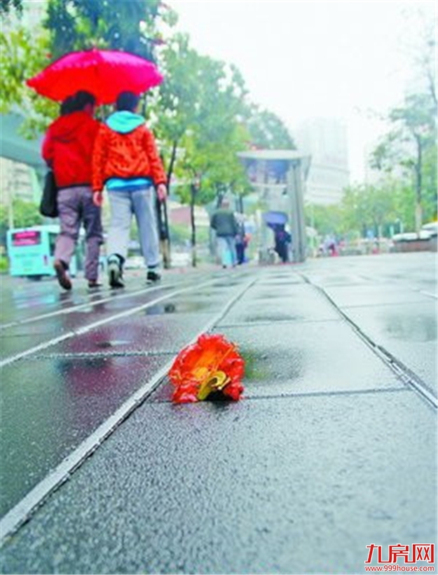 厦积极创建国家海绵城市示范市 提升城市承载力宜居度——九房网