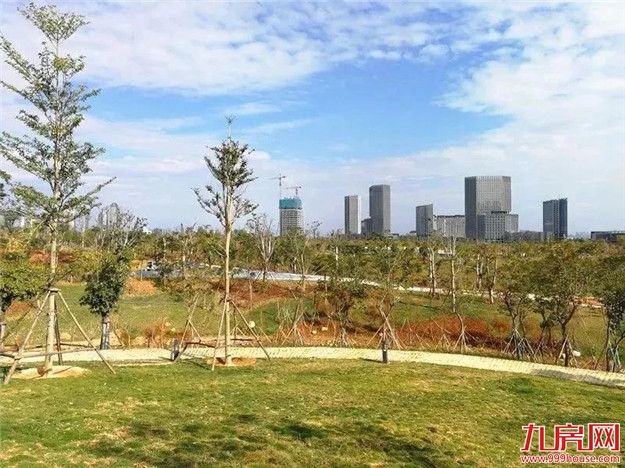 厉害了！官方重磅定调！厦门被委以重任，大崛起时代来了！——九房网