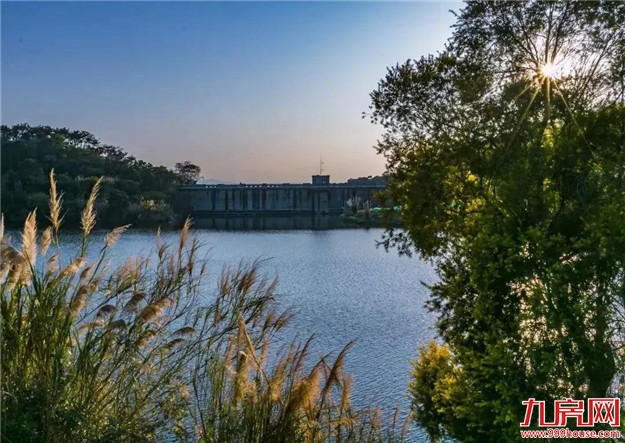 厉害了！官方重磅定调！厦门被委以重任，大崛起时代来了！——九房网