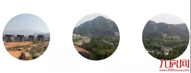 你了解我的身世和故事吗？——九房网