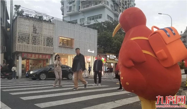 你了解我的身世和故事吗？——九房网