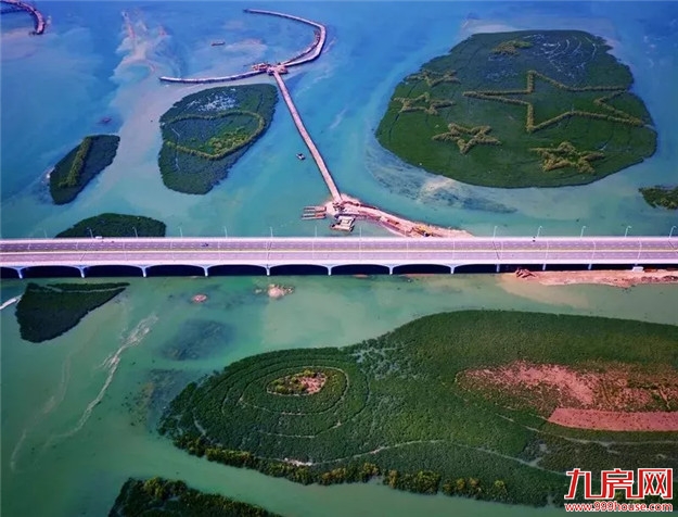 重磅！厦门2019计划造林绿化49410亩！争创福建省首个“国家生态园林城市”！——九房网