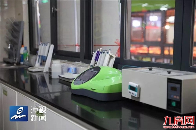 都挺好! | 你家门口的菜市场要改造啦!要解决这些问题!——九房网 都挺好! | 你家门口的菜市场要改造啦!要解决这些问题!——九房网