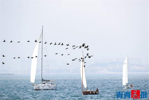 厦门房产,厦门房地产,厦门新房,九房网,厦门房产 厦门房产,厦门房地产,厦门新房,九房网,厦门房产