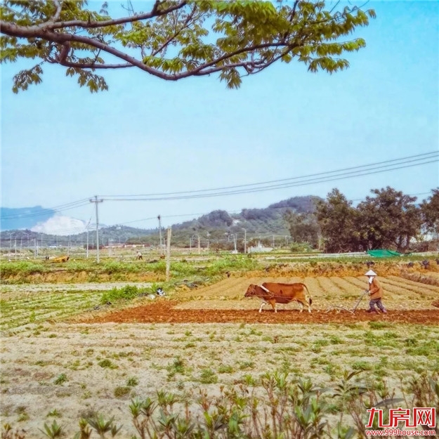 千年闽南人文大美，阅遍世界更知好——九房网