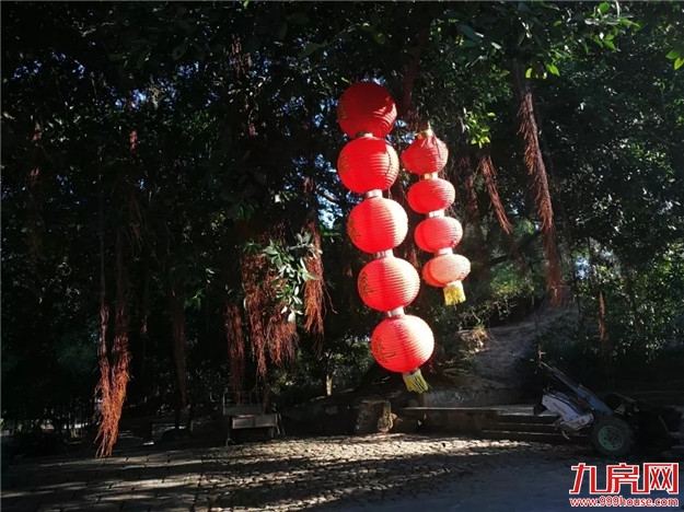 千年闽南人文大美，阅遍世界更知好——九房网