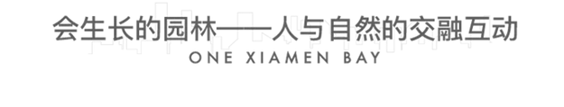 重磅！大湾区时代，厦门被委以重任！这个区将全面爆发！——九房网