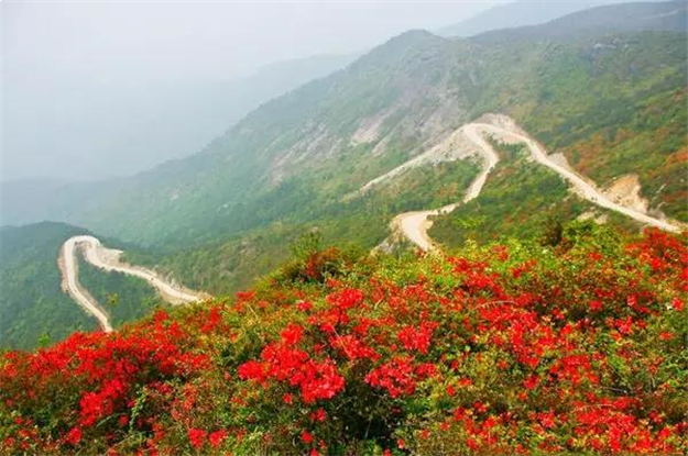 细数这些「厦门之最」，给你21个为厦门骄傲的理由！！——九房网