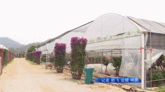 速看！厦门岛内这些旧村将整村改造！岛外乡村焕发新生！——九房网