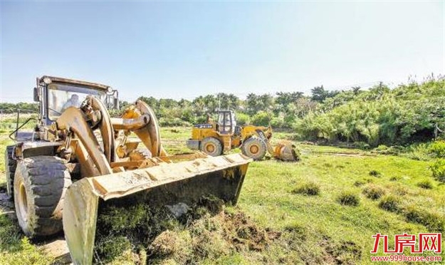 翔安重点项目建设实现“开门红” 综合排名全市第一——九房网