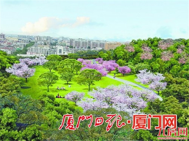 厦门房产,厦门房地产,厦门新房,九房网,厦门房产