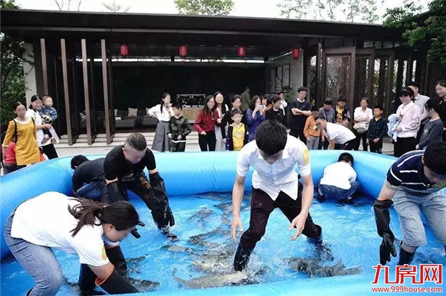 揭秘！金茂“渔乐圈”不为人知的潜规则！——九房网