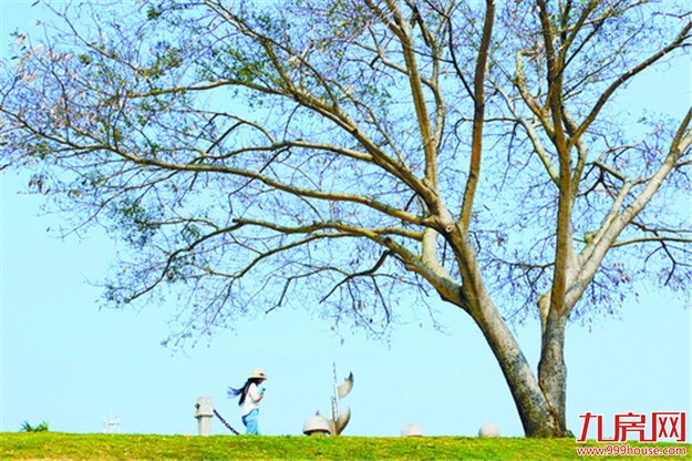 厦门房产,厦门房地产,厦门新房,九房网,厦门房产