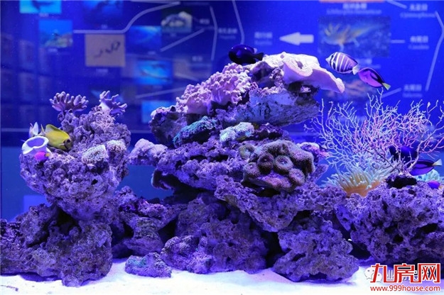 厦门房产,厦门房地产,厦门新房,九房网,厦门房产 厦门房产,厦门房地产,厦门新房,九房网,厦门房产