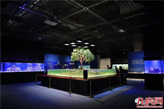 厦门房产,厦门房地产,厦门新房,九房网,厦门房产 厦门房产,厦门房地产,厦门新房,九房网,厦门房产