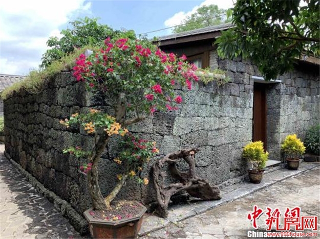 海南:未经批准不得新建乡村民宿,严禁变相发展房地产——九房网 海南:未经批准不得新建乡村民宿,严禁变相发展房地产——九房网