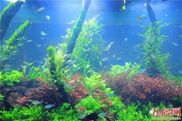 厦门房产,厦门房地产,厦门新房,九房网,厦门房产 厦门房产,厦门房地产,厦门新房,九房网,厦门房产