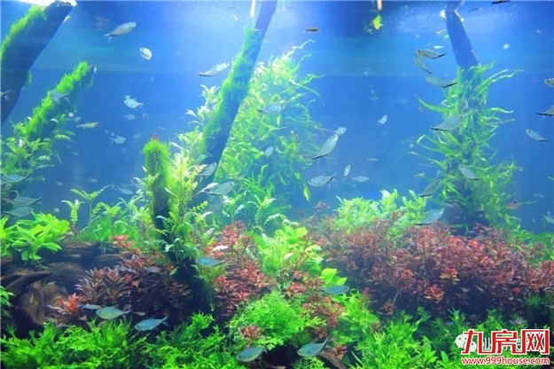 总投资10.5亿!奥特莱斯来了!目前已正式报建!——九房网 总投资10.5亿!奥特莱斯来了!目前已正式报建!——九房网