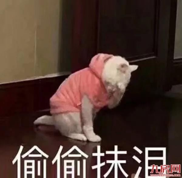 厦门房产,厦门房地产,厦门新房,九房网,厦门房产 厦门房产,厦门房地产,厦门新房,九房网,厦门房产