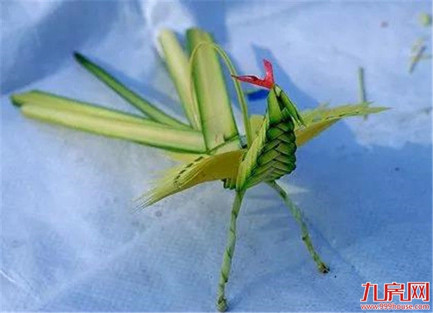 前方高能，一大波端午节活动提前爆料，速点！——九房网