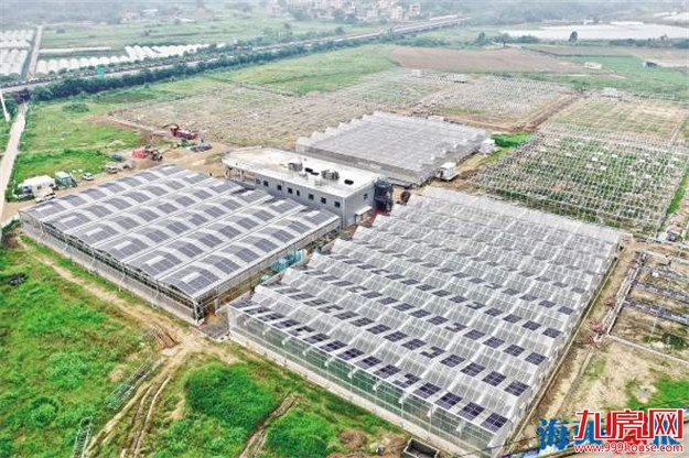 打造厦门菜篮子基地 闽首个农光旅融合项目落户同安——九房网 打造厦门菜篮子基地 闽首个农光旅融合项目落户同安——九房网
