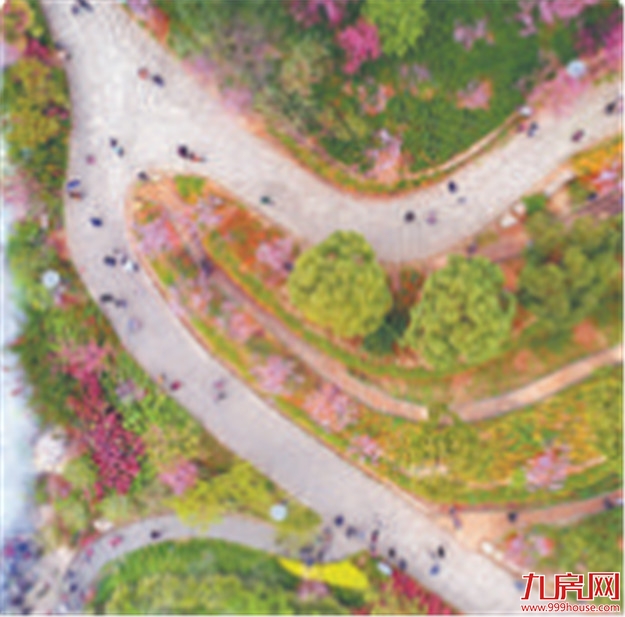 科学规划统筹 擘画高质量发展蓝图 厦门做法获点赞——九房网