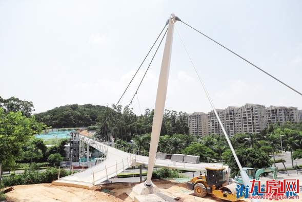 悬索桥宛如飞鸟美极了 横跨金尚路预计月底建成——九房网 悬索桥宛如飞鸟美极了 横跨金尚路预计月底建成——九房网