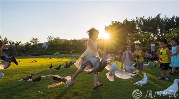 厦门房产,厦门房地产,厦门新房,九房网,厦门房产