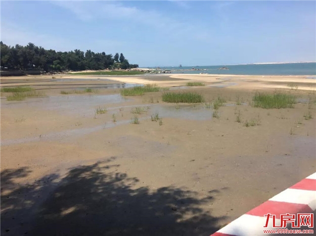 厦门房产,厦门房地产,厦门新房,九房网,厦门房产