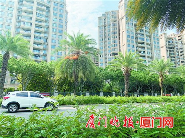 厦门房产,厦门房地产,厦门新房,九房网,厦门房产