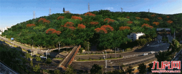 猛料！厦门这些区域重磅规划刚公布！地铁、医院...发展逆天！——九房网