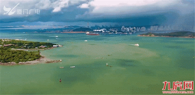 重磅!厦门三高企业骨干员工安居政策出台!提供两类住房保障——九房网