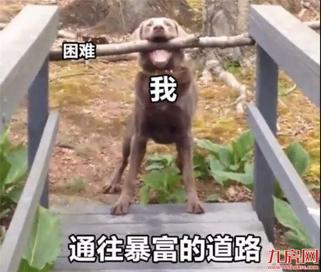 酸了！深圳1878个亿万富翁诞生！厦门最新拆迁地图同时曝光！——九房网