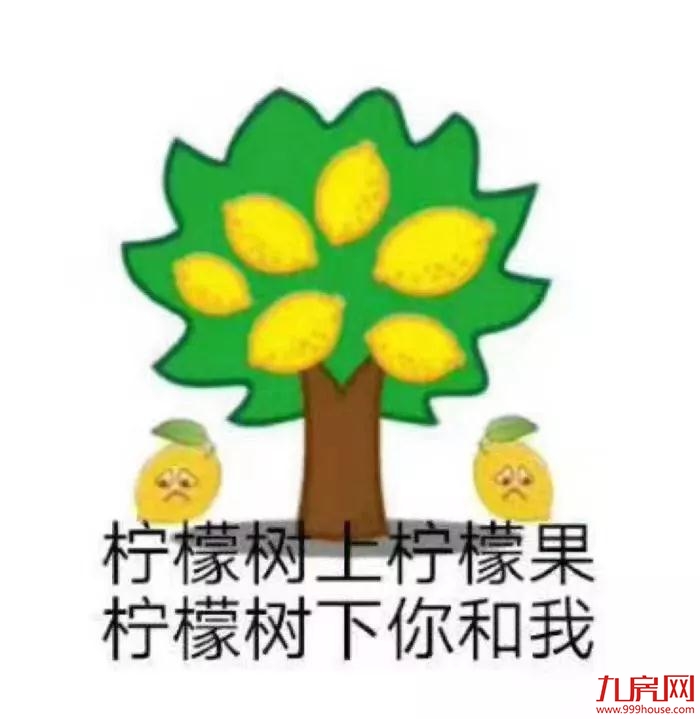 酸了！深圳1878个亿万富翁诞生！厦门最新拆迁地图同时曝光！——九房网