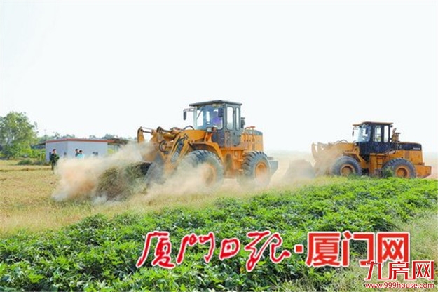 厦门房产,厦门房地产,厦门新房,九房网,厦门房产 厦门房产,厦门房地产,厦门新房,九房网,厦门房产