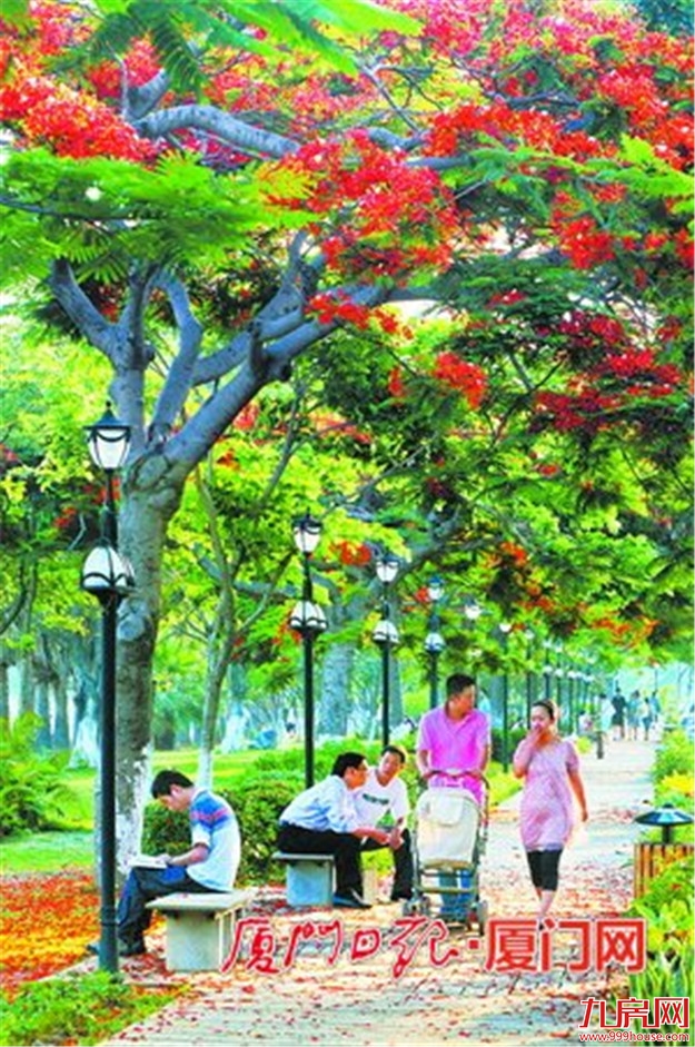 厦门房产,厦门房地产,厦门新房,九房网,厦门房产