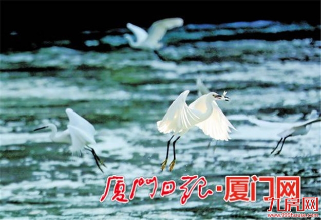 厦门房产,厦门房地产,厦门新房,九房网,厦门房产