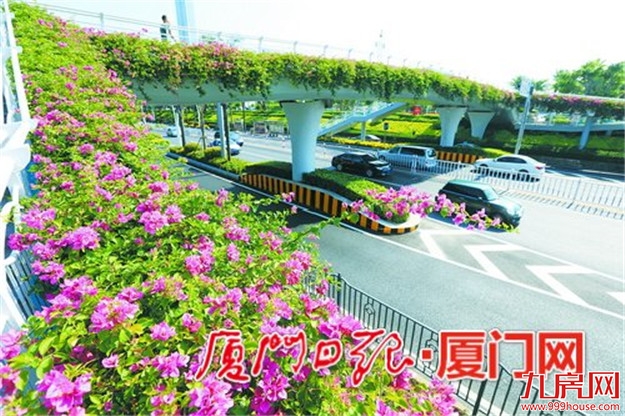 厦门房产,厦门房地产,厦门新房,九房网,厦门房产