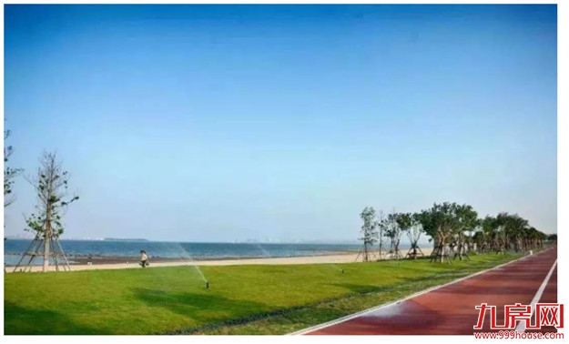 重磅官宣！一波大规划、大发展，厦门爆发挡不住了！——九房网