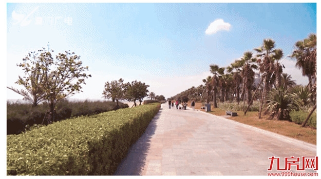 重磅官宣！一波大规划、大发展，厦门爆发挡不住了！——九房网