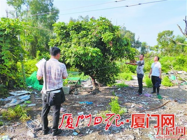 厦门房产,厦门房地产,厦门新房,九房网,厦门房产 厦门房产,厦门房地产,厦门新房,九房网,厦门房产