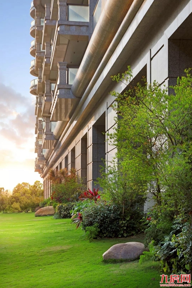 让世界 听见厦门心跳——九房网