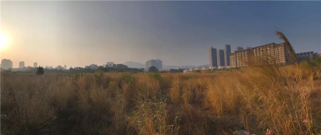 厦门房产,厦门房地产,厦门新房,九房网,厦门房产 厦门房产,厦门房地产,厦门新房,九房网,厦门房产