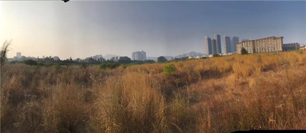 厦门房产,厦门房地产,厦门新房,九房网,厦门房产 厦门房产,厦门房地产,厦门新房,九房网,厦门房产